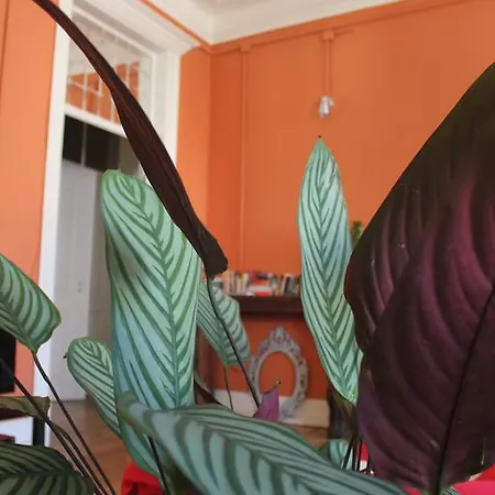 Casa de hóspedes A Casa Da Maria Amelia 5*